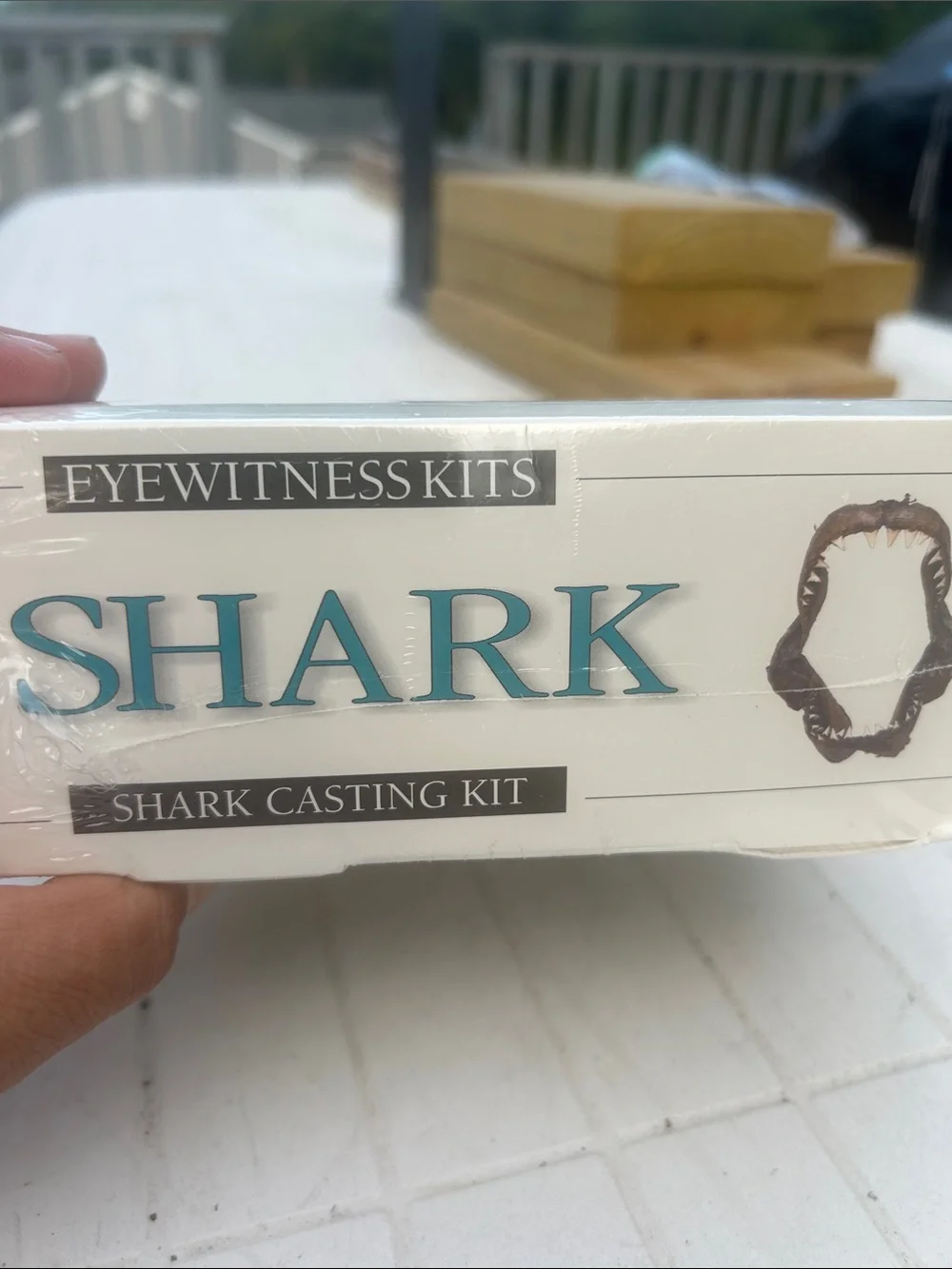 NWT Shark Casting Kit Great for educational play and discovery